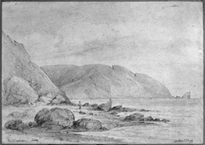 Swainson, William, 1789-1855 :Parra Para and Cape Terrawitte, 20 April, 1849.
