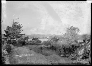 View of Raglan from Nihi Nihi, 1911 - Photograph taken by Gilmour Brothers