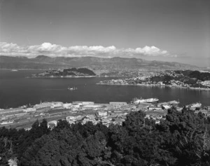 Overlooking Wellington and Harbour