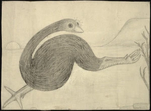 Drawing of extinct bird [moa?]