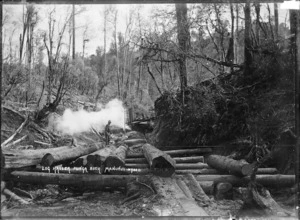 Hauling logs in the bush, Manunui