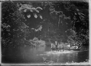 Men in a scow being towed by two horses, on the Waipapa River, near Rangiahua, 1918
