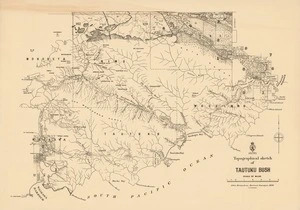 Topographical sketch of Tautuku Bush / John Strauchon, District Surveyour, 1886..