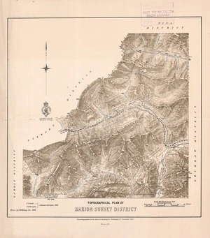 Topographical plan of Marion Survey District / drawn by J. M. Malings.