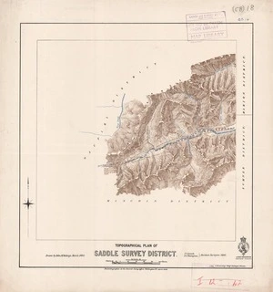 Topographical plan of Saddle Survey District / F.S. Smith, F.A. Thompson assistant surveyors ; drawn by John M. Malings.