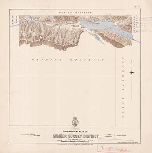 Topographical plan of Sumner Survey District / F.S Smith, F.A Thompson, assistant surveyors ; drawn by John M. Malings.