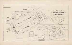 Plans of hospital reserve, Wellington / compiled from surveys made by E.V. Briscoe [et al.].