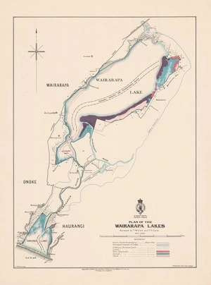 Plan of the Wairarapa lakes / surveyed by T.M. Grant and P.R. Earle.