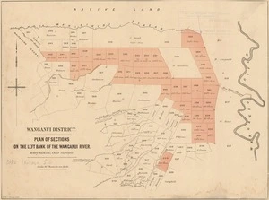 Plan of sections on the left bank of the Wanganui River / Henry Jackson, chief surveyor.