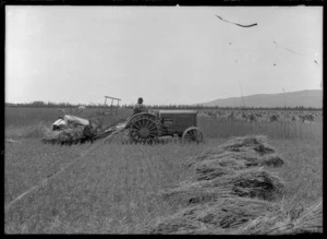 Haymaking, with a man on a tractor cutting hay