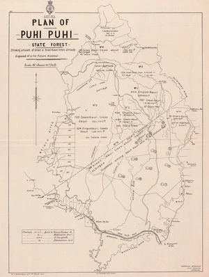 Plan of Puhi Puhi state forest : showing amount of green & dead kauri trees already disposed of or for future disposal / W.E. Ballantyne drft. 11th March 1900.