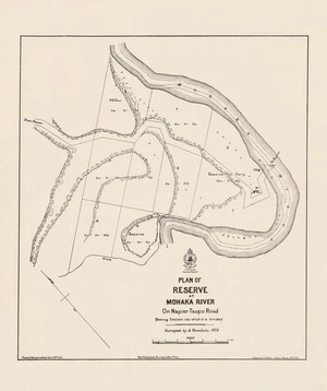 Plan of reserve at Mohaka River on Napier-Taupo Road : shewing sections into which it is divided / surveyed by A. Teesdale, 1873 ; .photolithographed by A. McColl ; drawn by C.R. Pollen.
