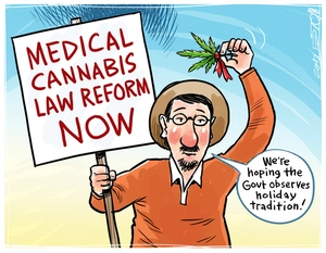Medical Cannabis Law Reform Now