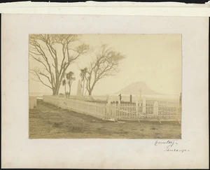 The cemetery, Te Papa, Tauranga - Photograph taken by John Kinder