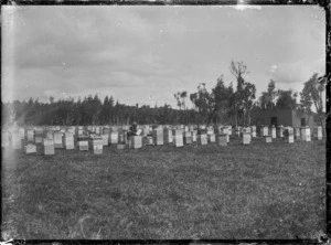 Apiary at Turua, 1920.