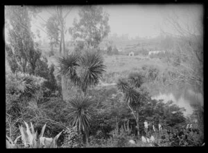 View from parsonage, Hamilton