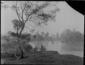 Waitotara River with mist and surrounding farmland, Taranaki region
