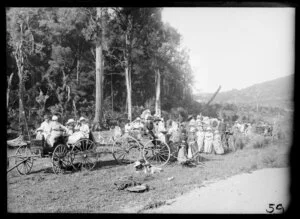 People and buggies at a picnic, location unidentified