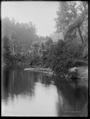 Waitotara River, Taranaki - Photograph taken by Frank James Denton