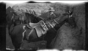 Soldier of the ANZAC Mounted Division standing with two horses