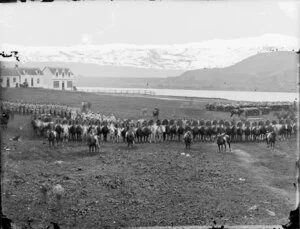 Whanganui militia and armed constabulary forces at Moutoa gardens, Whanganui