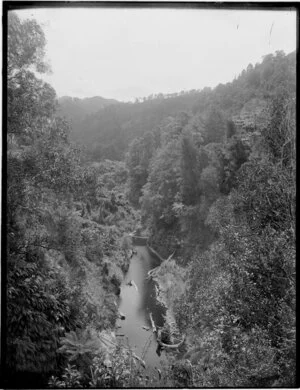 Steep bush covered banks on either side of the Waitotara River, Patea County