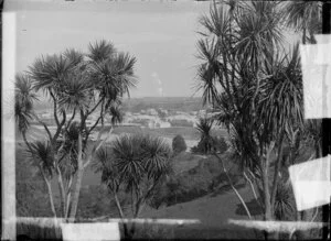 Wanganui from Durie Hill, through cabbage trees