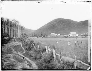 Station homestead, farm and buildings, Rangitikei