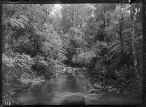 Waitakere River, Auckland Region, including two unidentified men standing by a pool surrounded by native bush