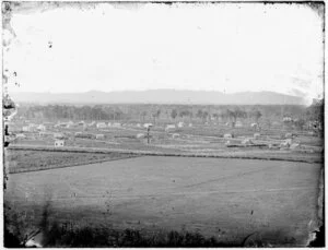 Settlement, with bush in the background, Feilding