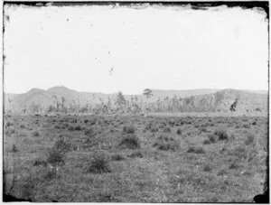 Wasteland and rough bush, Rangitikei District