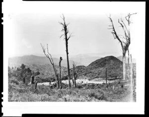 View across deforested hills; a few dead trees are in the foreground