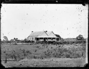 Homestead with horse and carriage in front, Rangitikei District