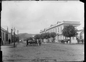 Unidentified street in Wanganui, including row of trees and the Loan and Mercantile Agency Company Ltd building
