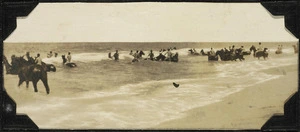 Troops of the ANZAC Mounted Division and their horses, swimming.