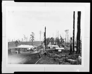 Two houses on a deforested hillside, [Australia?]