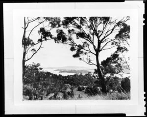 View over [Government House?], Hobart, to the river