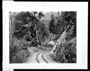 Railway track through the bush, unidentified location