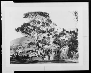 View over unidentified town, Australia