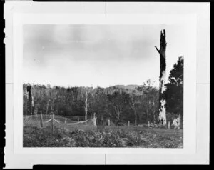 View over bush from cleared land, [Australia?]