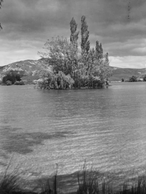 Lake Tutira with the island Tauranga-koau, Hawke's Bay - Photograph taken by John Dobree Pascoe