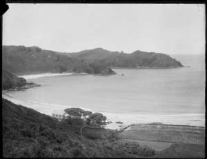 Overlooking a bay, probably in the Northland region