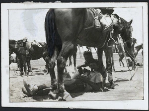 Soldiers of the New Zealand Mounted Rifles resting in the shade of their horse.