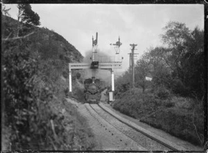 "Ww" class steam locomotive passing automatic three position electric signals in the Silverstream Gorge.