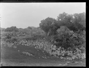 Rocky terrain and bush, Auckland [Devonport?]