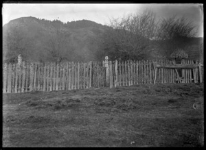 Te Kooti's fence at Te Whaiti