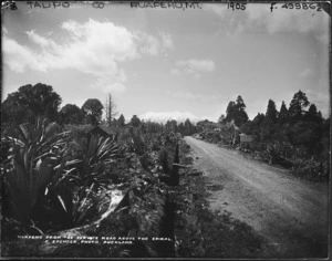 Spencer, Charles S, 1854-1933 :Ruapehu from the service road above the spiral