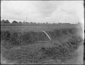 Scythe in a field of grass