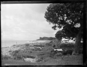 Te Maraeroa Flat, Little Barrier Island, Auckland Region