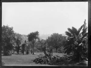 Royal Botanic Gardens from Anderson Street lawn, Melbourne